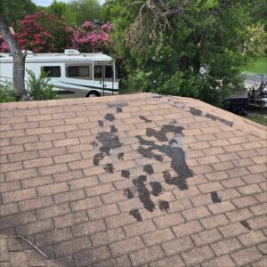 Roof repair company near cedar park 