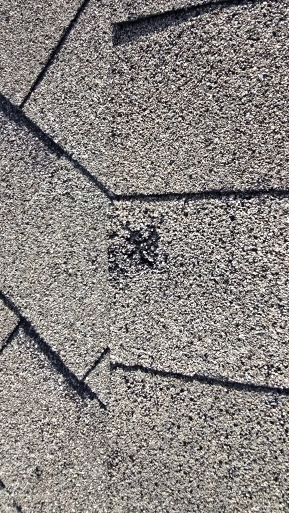 Roof Hail Damage Leander